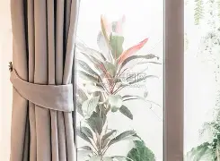 曼联vs纽卡斯尔前瞻