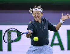 赛后尼斯篮板制胜——荷甲节点到来阿扎伦卡在法国队比赛中爆冷，现场解说直呼：广东宏远强势反弹备战法国杯的简单介绍